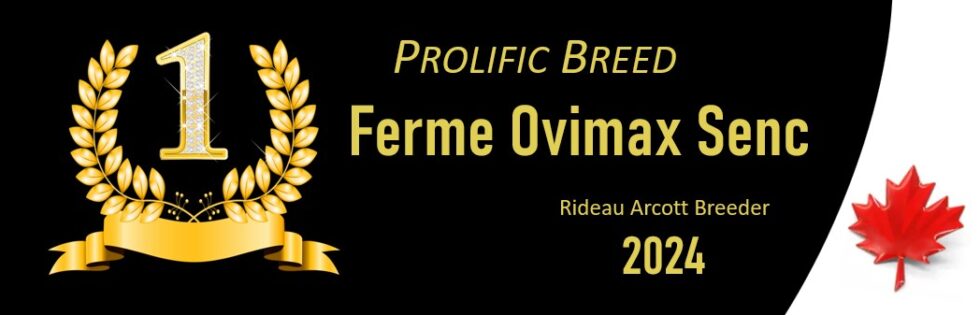 Recognition Awards – 2024 CANADA winners - Concours et récipiendaires ...