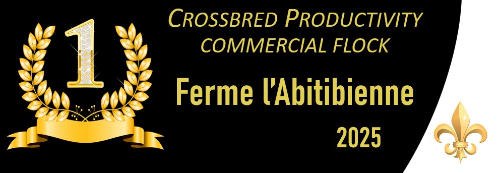 crossbred prod com flock abitib