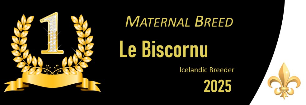 maternal breed bisco