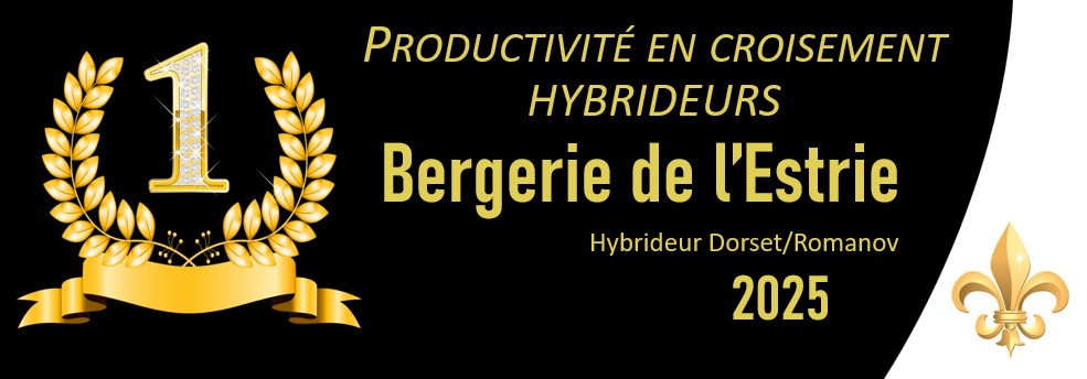 prod hybr estrie