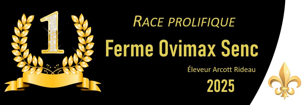 race prolific ovi