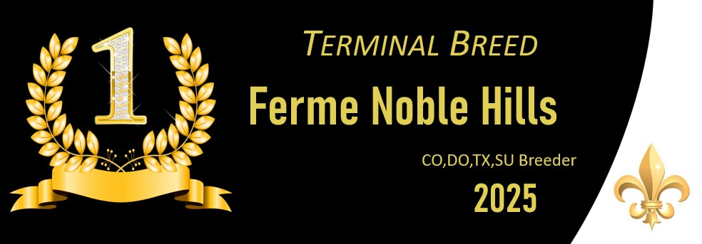 term breed noble